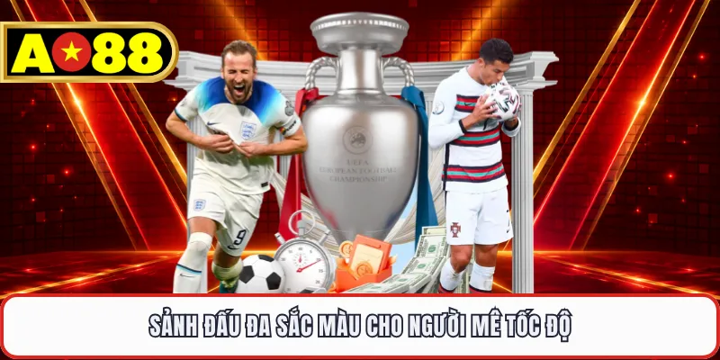 Sảnh đấu đa sắc màu cho người mê tốc độ